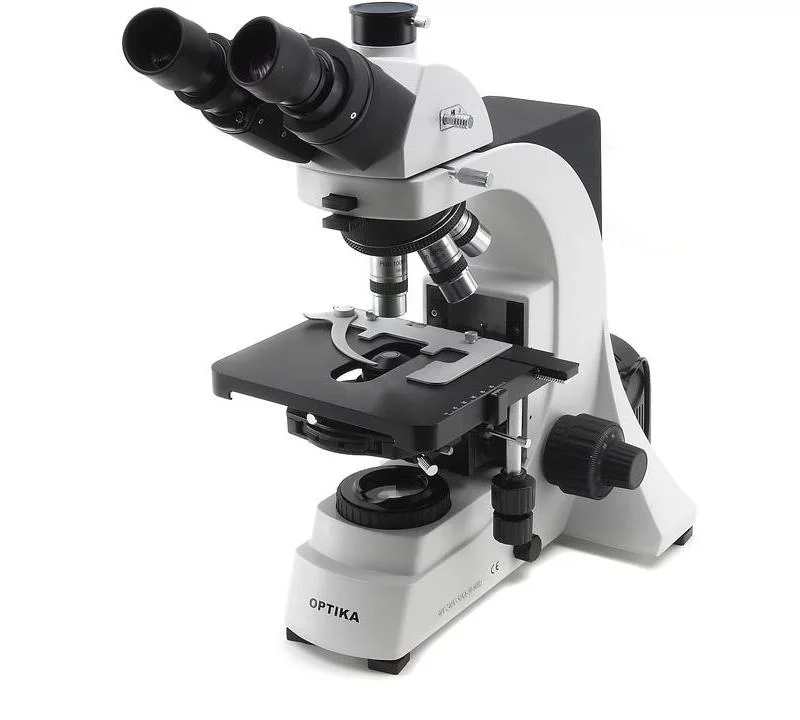 Optika B 600Tph microscopio trinoculare 100 1000x piano acromatico a contrasto di fase